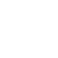 Borrow $CASH icon